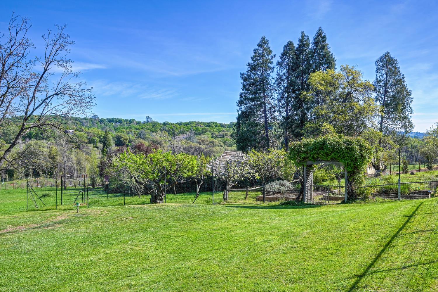 10800 Pickle Barrel Road Auburn, CA 95602 - Photo 51 of 82 a view of a park with large trees