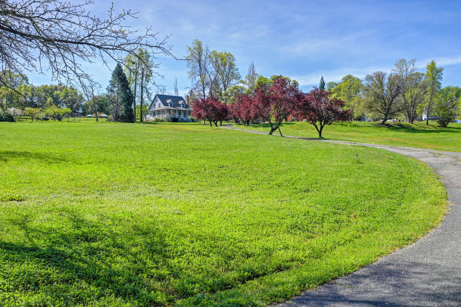 10800 Pickle Barrel Road Auburn, CA 95602 - Photo 52 of 82