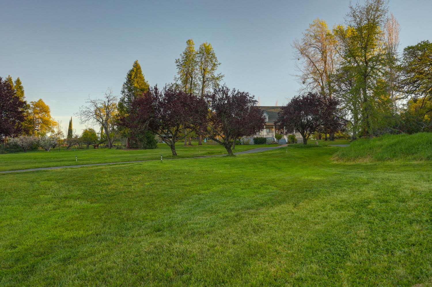 10800 Pickle Barrel Road Auburn, CA 95602 - Photo 66 of 82 a view of a golf course