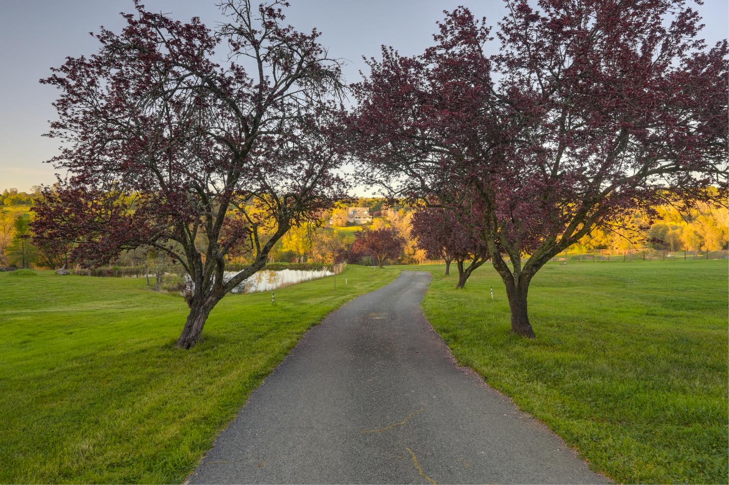 10800 Pickle Barrel Road Auburn, CA 95602 - Photo 67 of 82 a view of a park with large trees