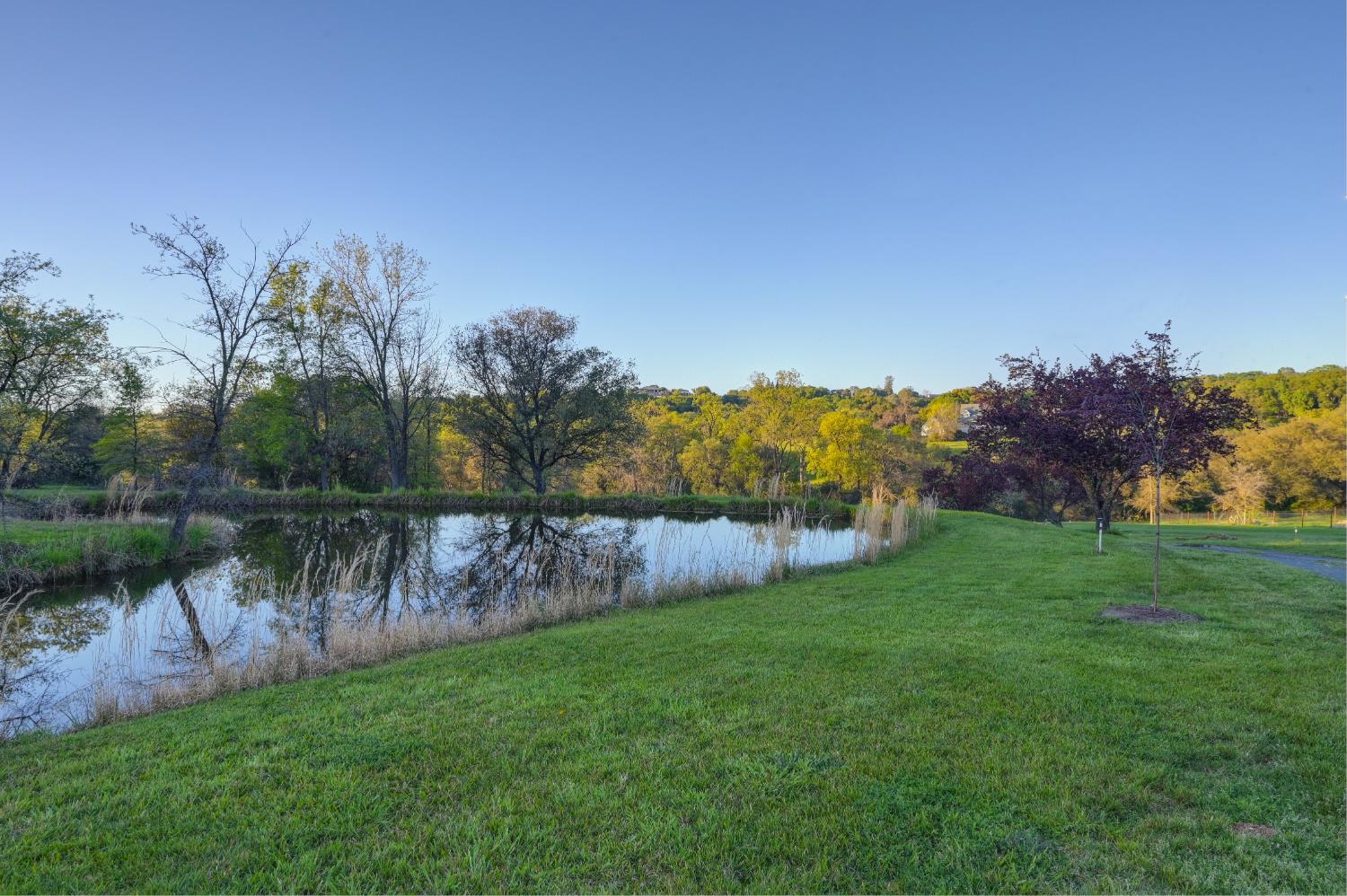 10800 Pickle Barrel Road Auburn, CA 95602 - Photo 70 of 82 a view of a lake with houses in the back