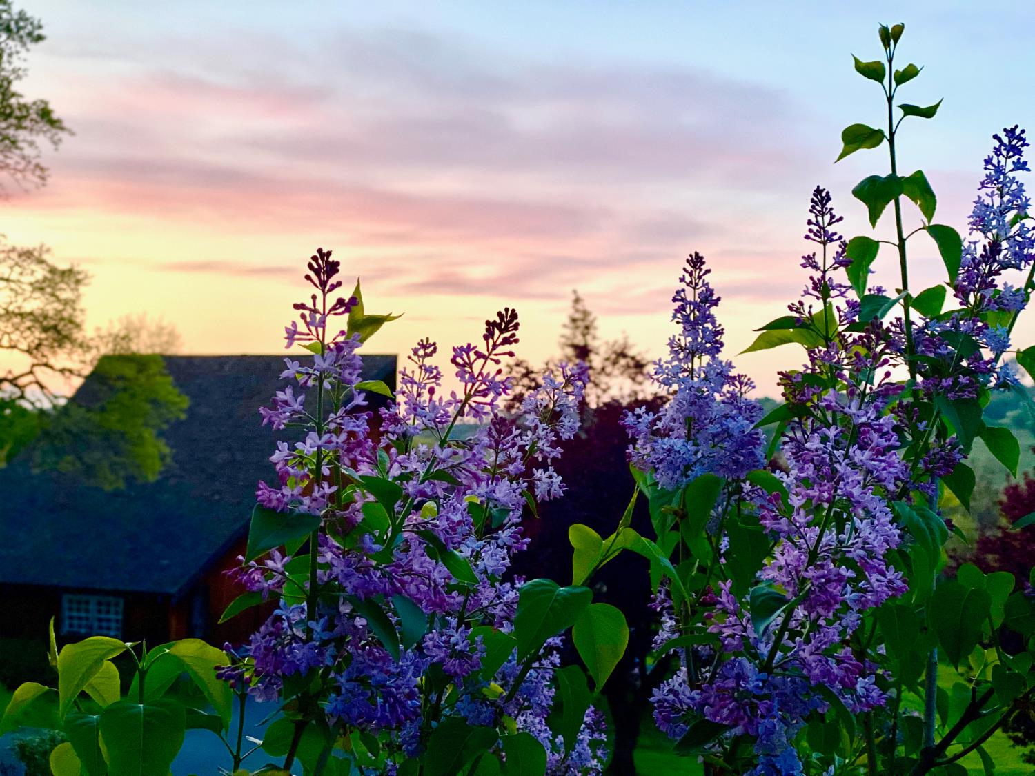 10800 Pickle Barrel Road Auburn, CA 95602 - Photo 78 of 82