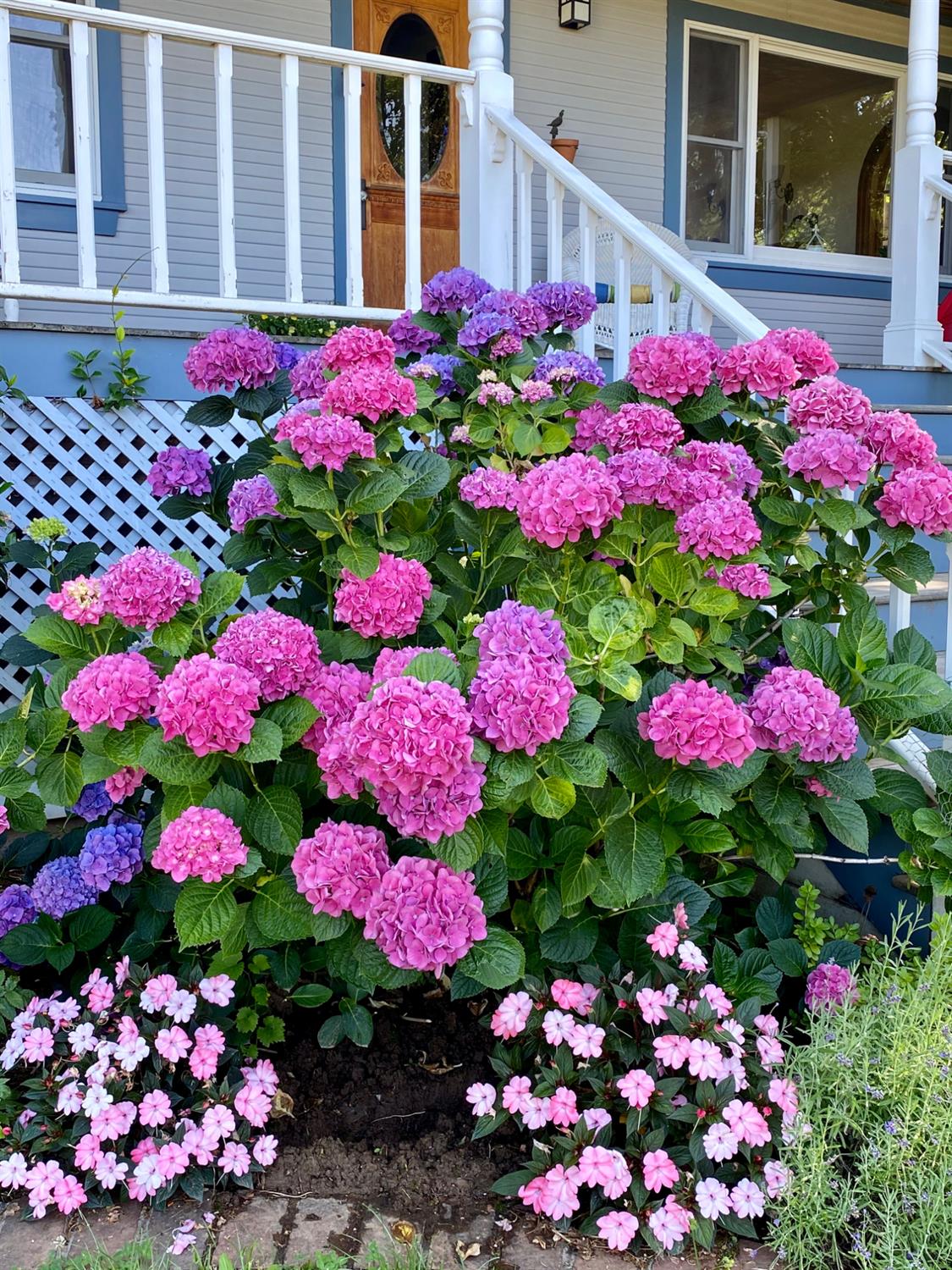 10800 Pickle Barrel Road Auburn, CA 95602 - Photo 79 of 82