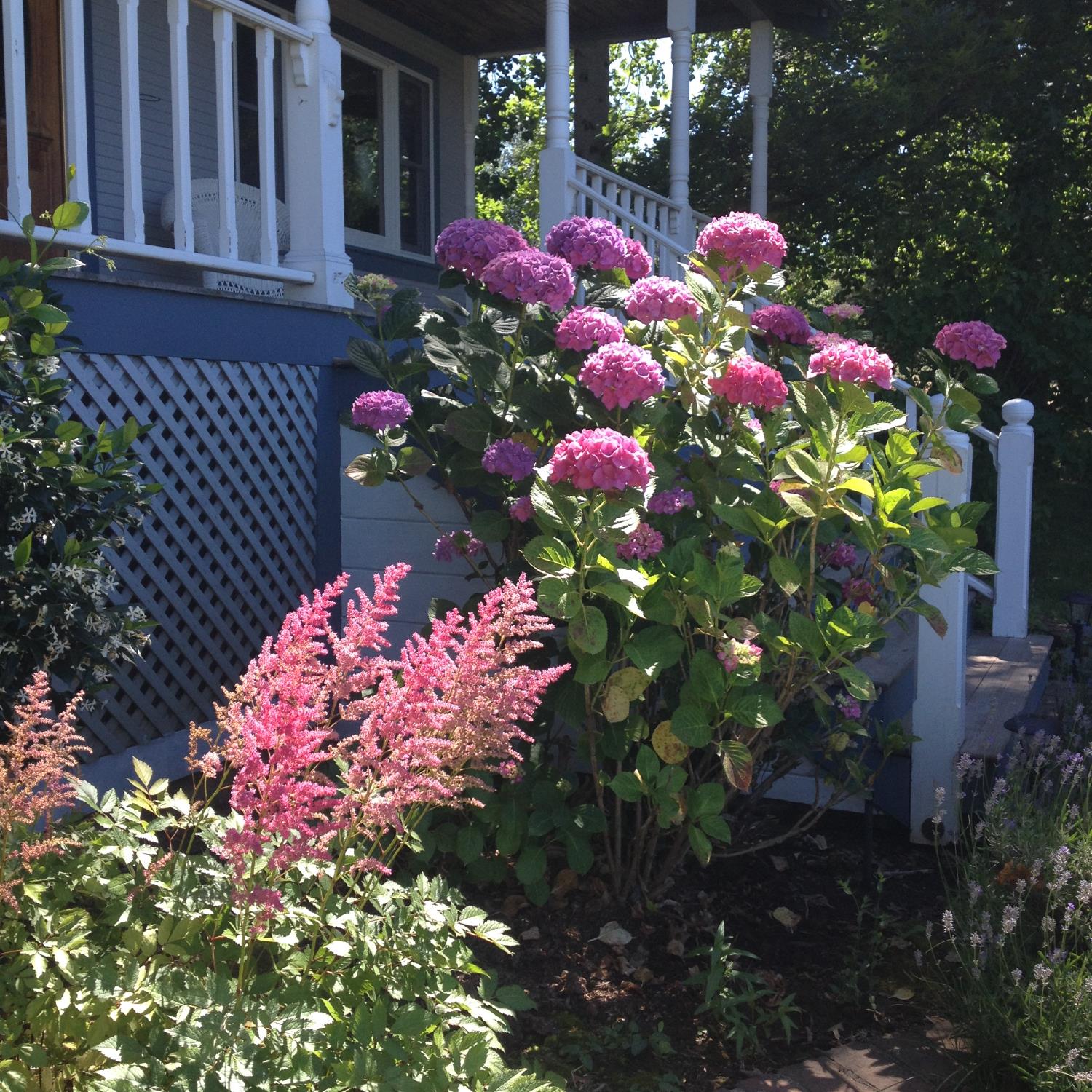 10800 Pickle Barrel Road Auburn, CA 95602 - Photo 80 of 82