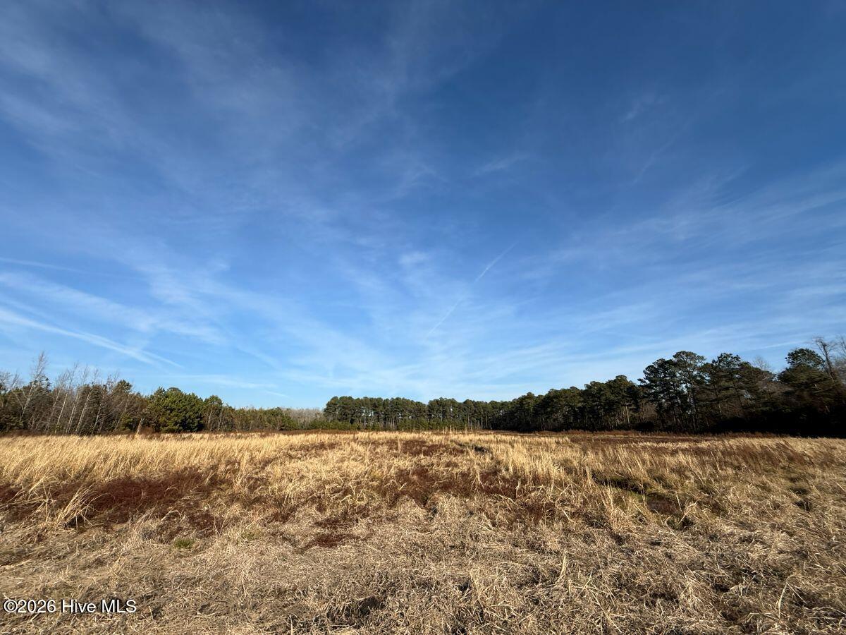 0 Center Road Bladenboro, NC 28320 - Photo 17 of 56 17