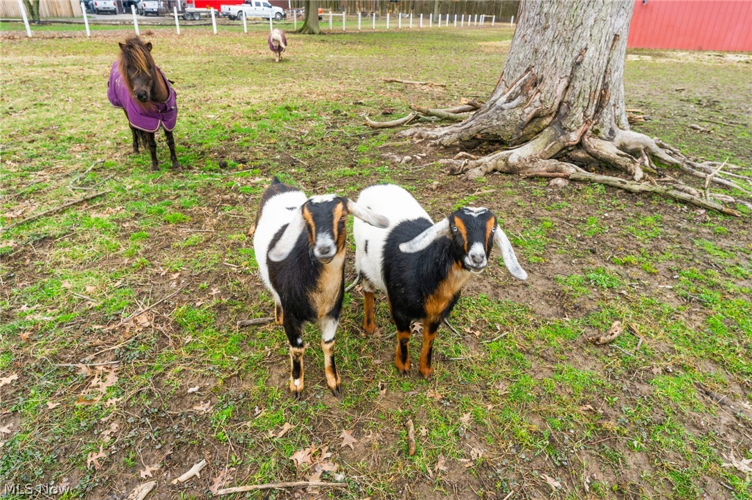 980 Ohltown Girard Road Mineral Ridge, OH 44440 - Photo 6 of 27 Current residents
