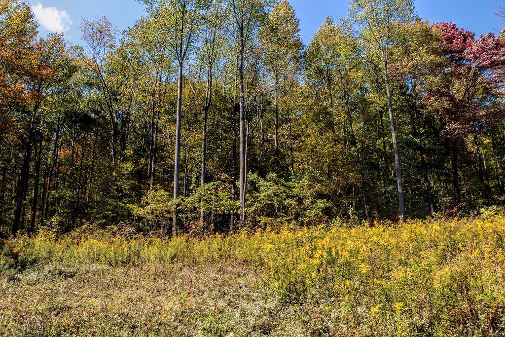0 Raystown Road James Creek, PA 16657 - Photo 1 of 10 Gallery Image 1