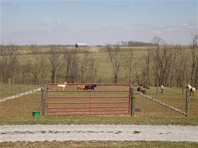 5317 Raymond Road Mays Lick, KY 41055 - Photo 25 of 25 Photo 25