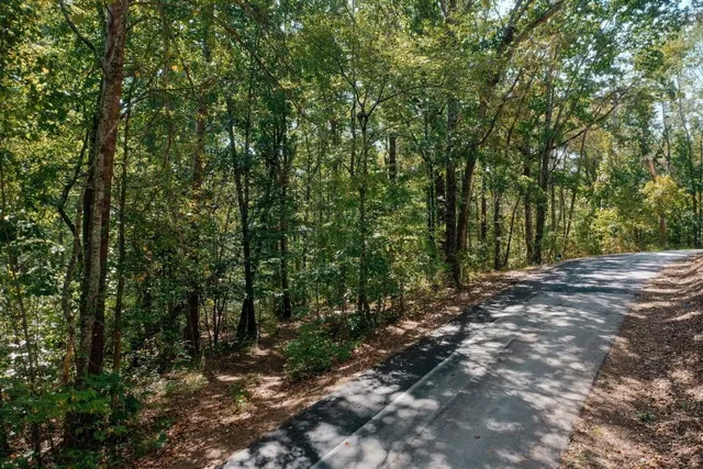 a view of outdoor space and trees