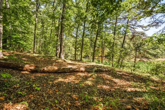 a view of a yard with large trees