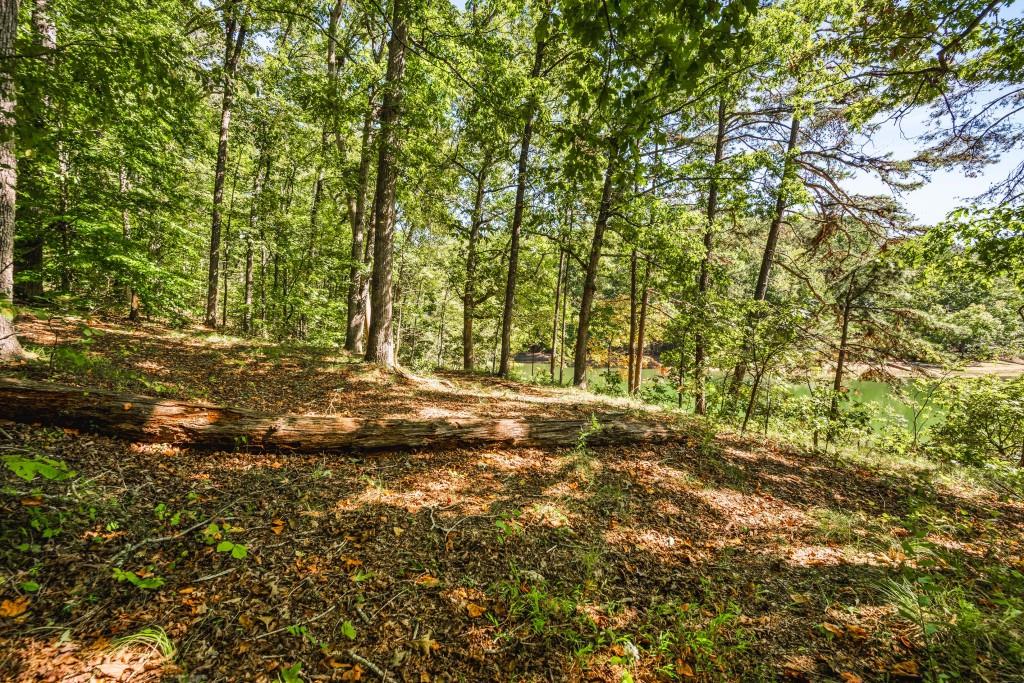 6595 Akins Way Cumming, GA 30041 - Photo 13 of 21 a view of a yard with large trees