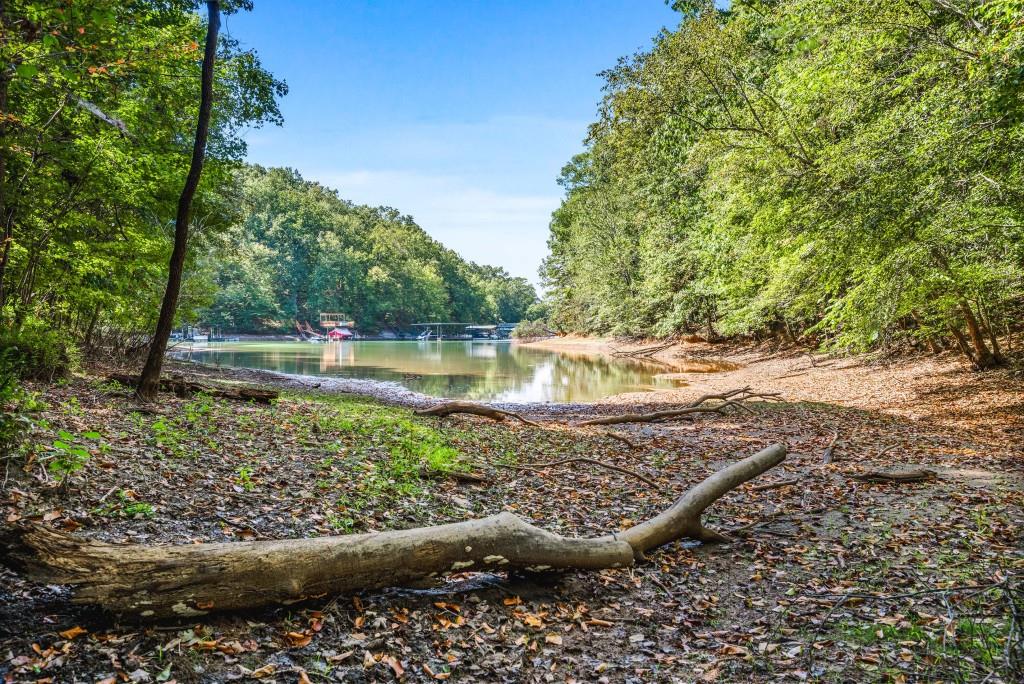6595 Akins Way Cumming, GA 30041 - Photo 14 of 21 a view of a large body of water with a house in the background