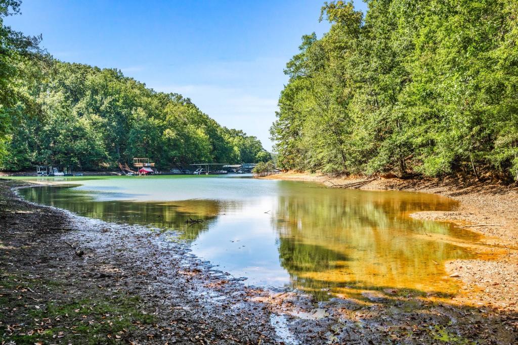 6595 Akins Way Cumming, GA 30041 - Photo 15 of 21 a view of a lake with a yard