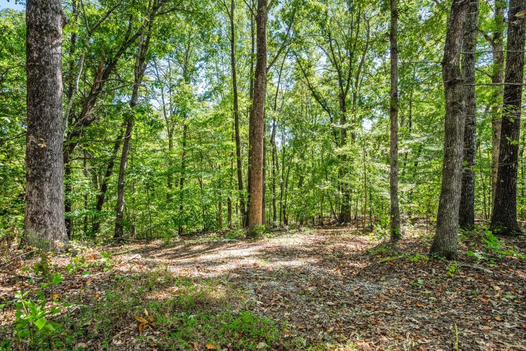 6595 Akins Way Cumming, GA 30041 - Photo 19 of 21 a view of outdoor space and trees