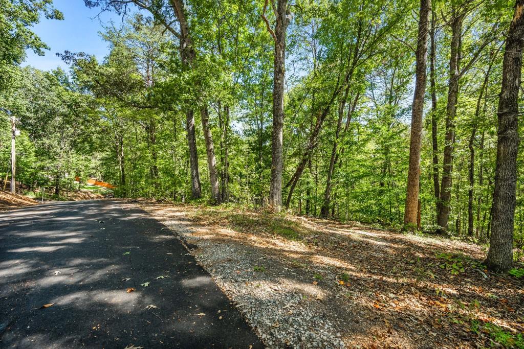 6595 Akins Way Cumming, GA 30041 - Photo 20 of 21 a view of a yard with large trees