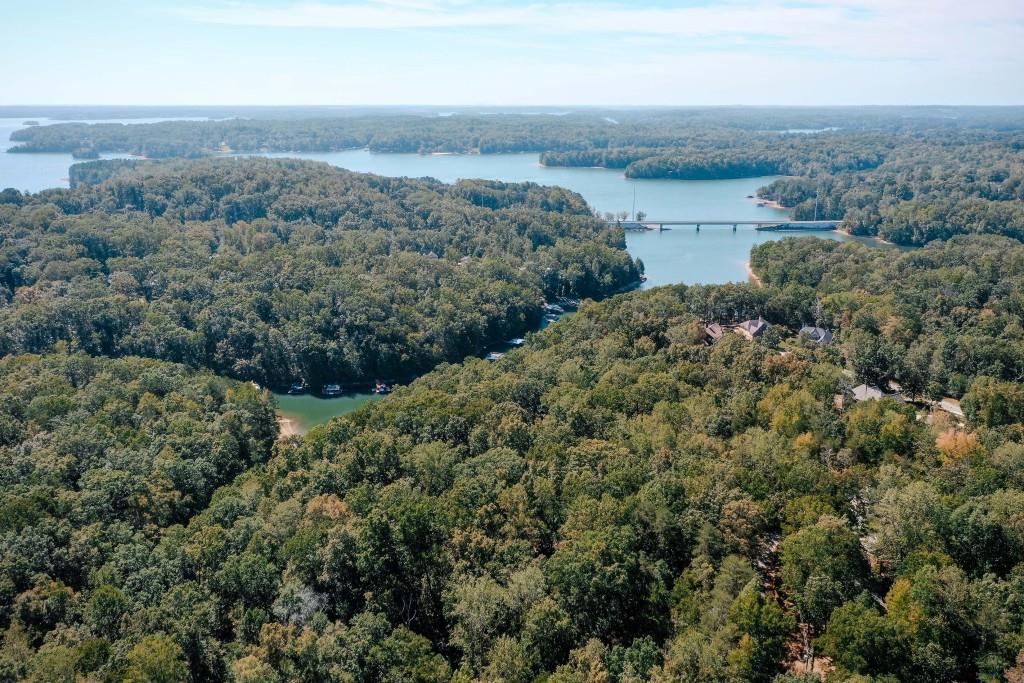 6595 Akins Way Cumming, GA 30041 - Photo 2 of 21 an aerial view of a house with a yard and lake view
