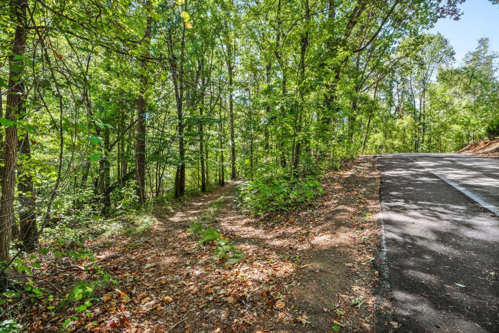 6595 Akins Way Cumming, GA 30041 - Photo 21 of 21 a view of a yard with plants and large trees