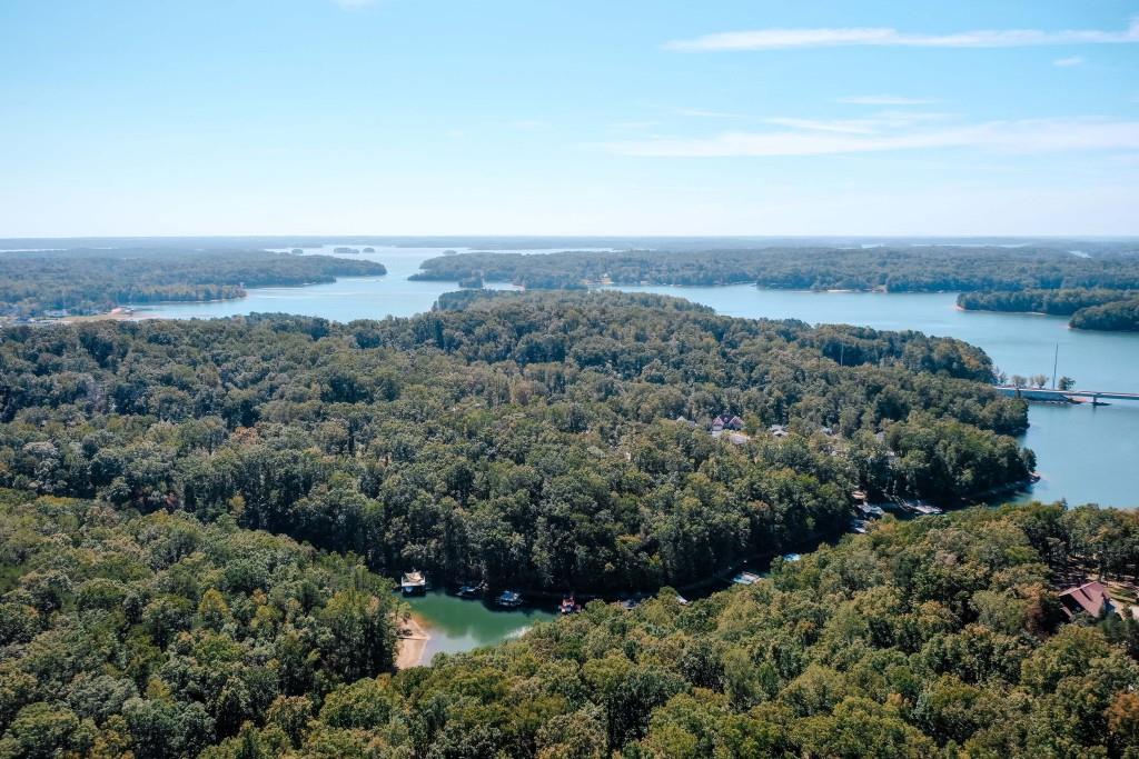 6595 Akins Way Cumming, GA 30041 - Photo 4 of 21 an aerial view of ocean and trees