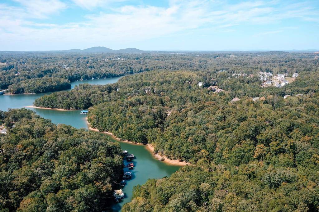 6595 Akins Way Cumming, GA 30041 - Photo 5 of 21 an aerial view of residential house with outdoor space and trees all around