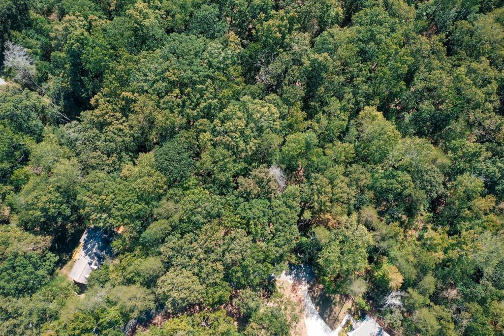 6595 Akins Way Cumming, GA 30041 - Photo 9 of 21 view of a lots of trees and bushes