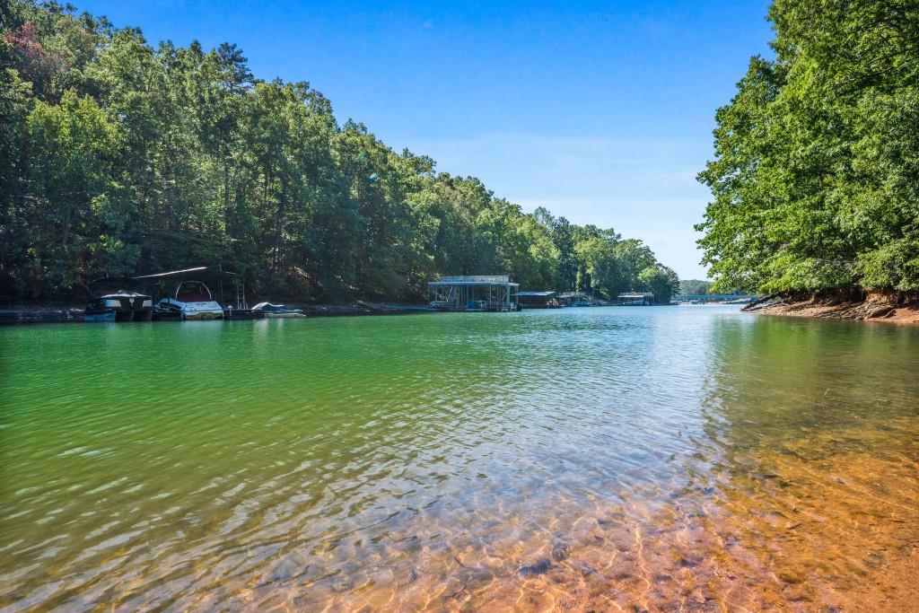 6595 Akins Way Cumming, GA 30041 - Photo 10 of 21 a view of a lake with a house in the background