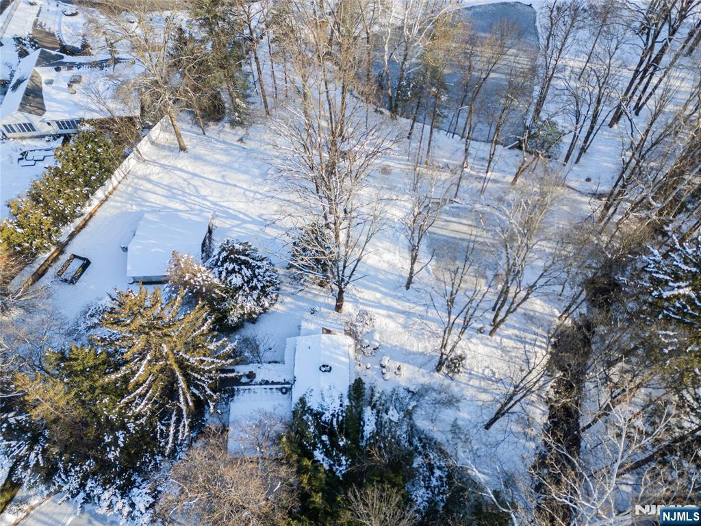 8 Piermont Road Closter, NJ 07624 - Photo 3 of 4 a view of a yard with plants and large trees