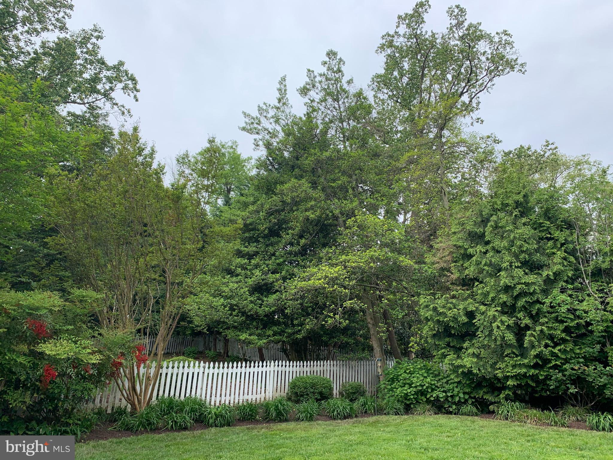 6028 Fort Hunt Road Alexandria, VA 22307 - Photo 42 of 42 Mature trees surround the property.