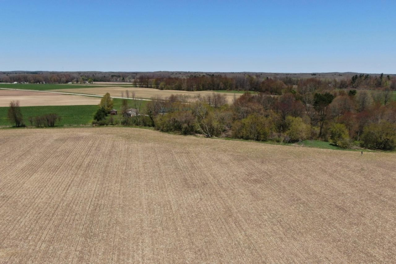 0 North Backus Road Stanton, MI 48888 - Photo 3 of 8 3
