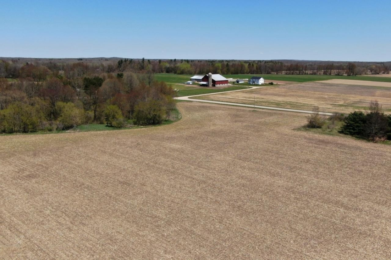 0 North Backus Road Stanton, MI 48888 - Photo 4 of 8 4