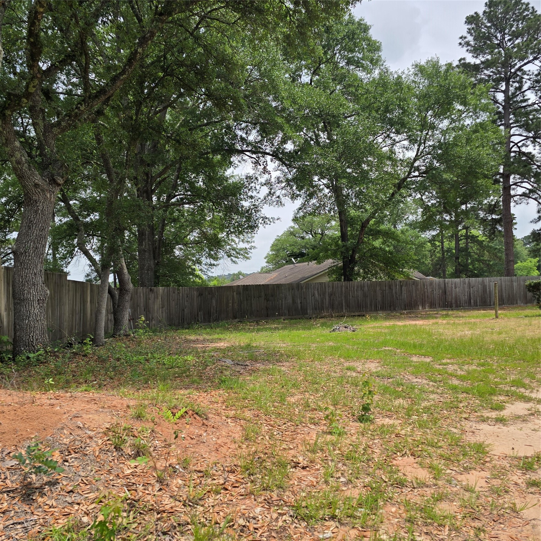 142 Rowe Lane Moscow, TX 75960 - Photo 5 of 16 a view of a yard with a tree