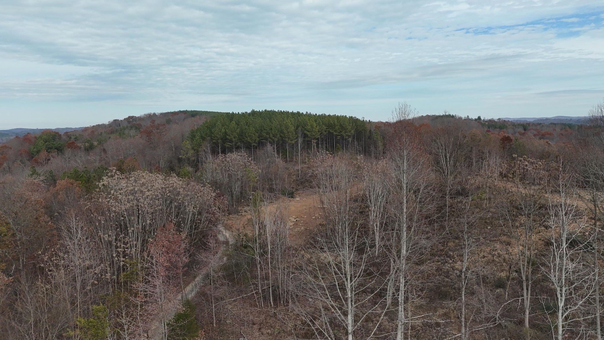 1 Lamontville Road Calhoun, TN 37309 - Photo 28 of 47 Gallery Image 28