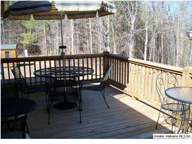 236 County Road 910 Delta, AL 36258 - Photo 4 of 27