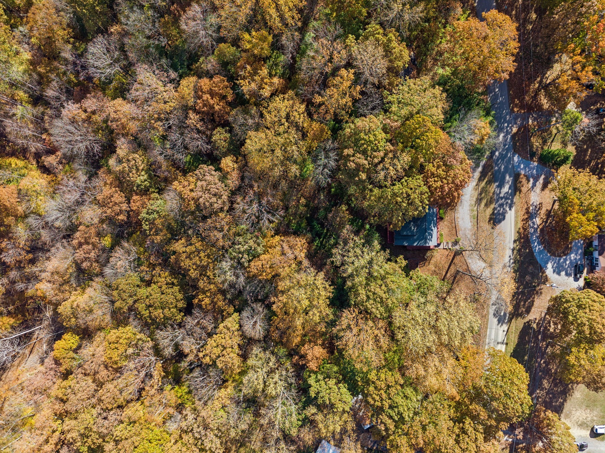 4222 Gourley Road Pegram, TN 37143 - Photo 78 of 78