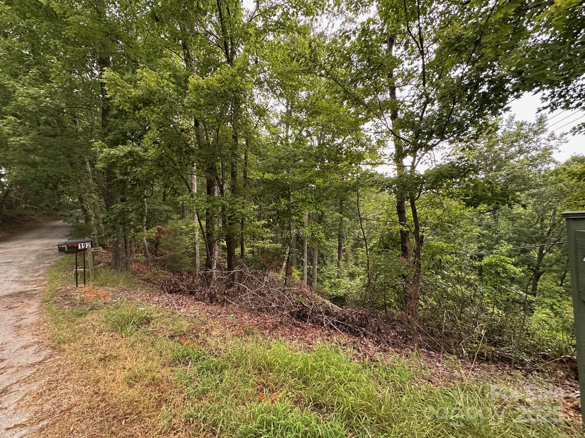 0 Buzzard Place, Unit 186 Lake Lure, NC 28746 - Photo 1 of 28