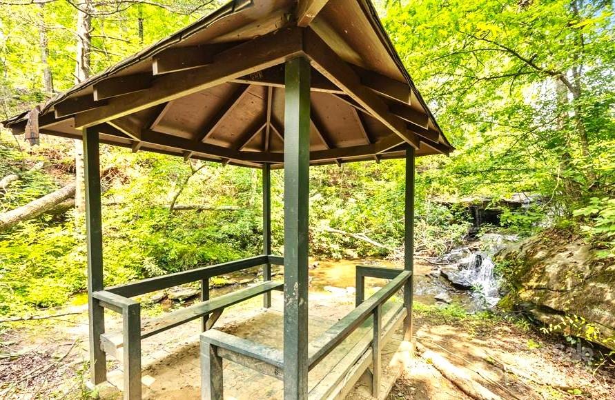 0 Buzzard Place, Unit 186 Lake Lure, NC 28746 - Photo 24 of 28