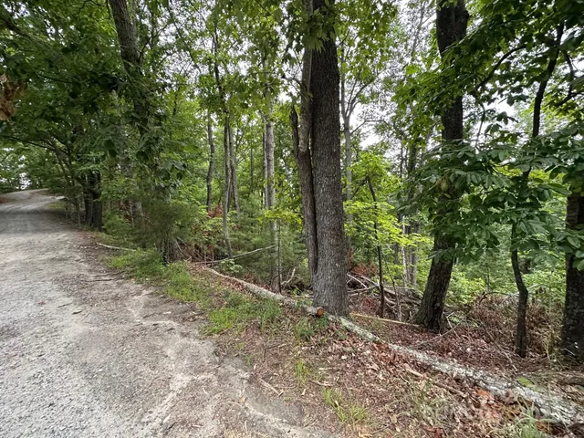 $30,000 | 0 Buzzard Place, Unit 186, Lake Lure, NC 28746