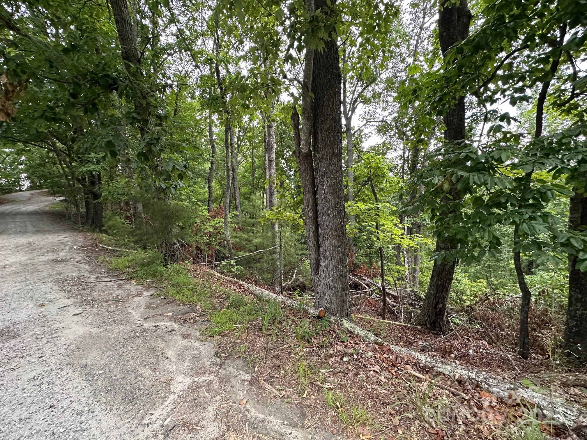 0 Buzzard Place, Unit 186 Lake Lure, NC 28746 - Photo 3 of 28