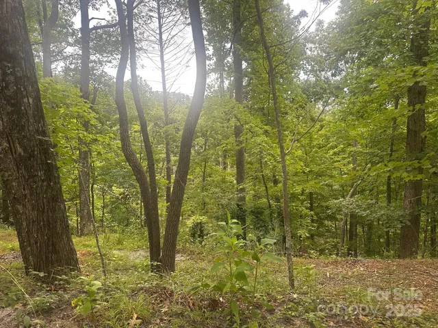 $30,000 | 0 Buzzard Place, Unit 186, Lake Lure, NC 28746