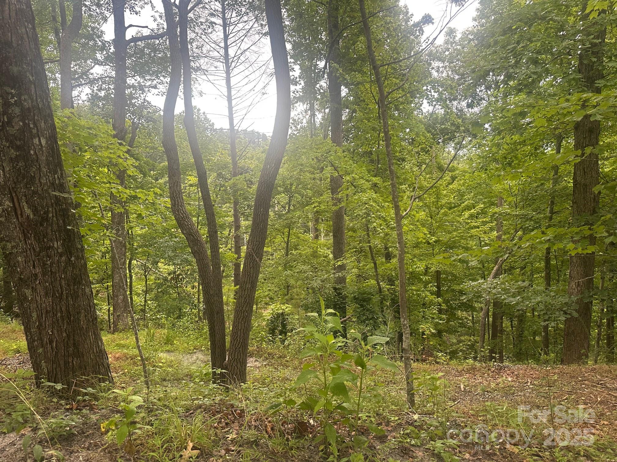 0 Buzzard Place, Unit 186 Lake Lure, NC 28746 - Photo 4 of 28