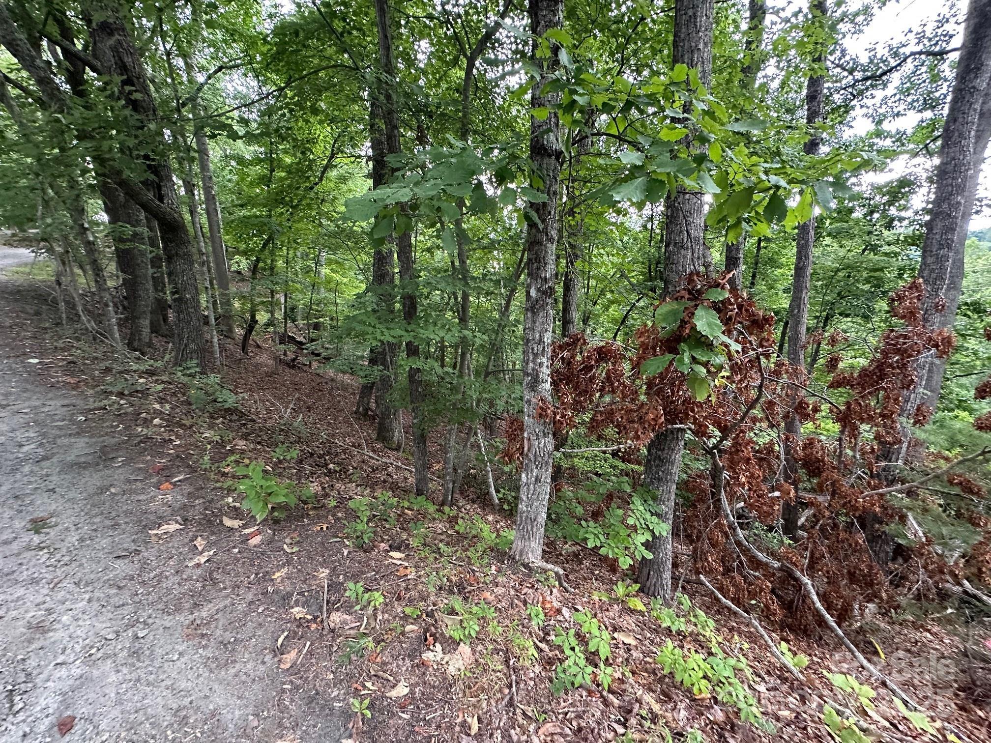 0 Buzzard Place, Unit 186 Lake Lure, NC 28746 - Photo 5 of 28