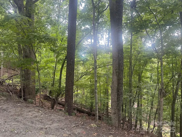 $30,000 | 0 Buzzard Place, Unit 186, Lake Lure, NC 28746