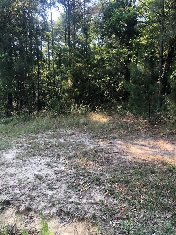 3032 Anderson Road South Catawba, SC 29704 - Photo 3 of 5 a view of a yard with a tree
