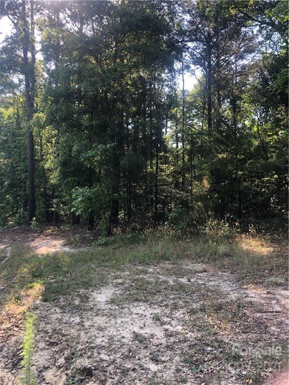 3032 Anderson Road South Catawba, SC 29704 - Photo 4 of 5 a view of a yard with a tree