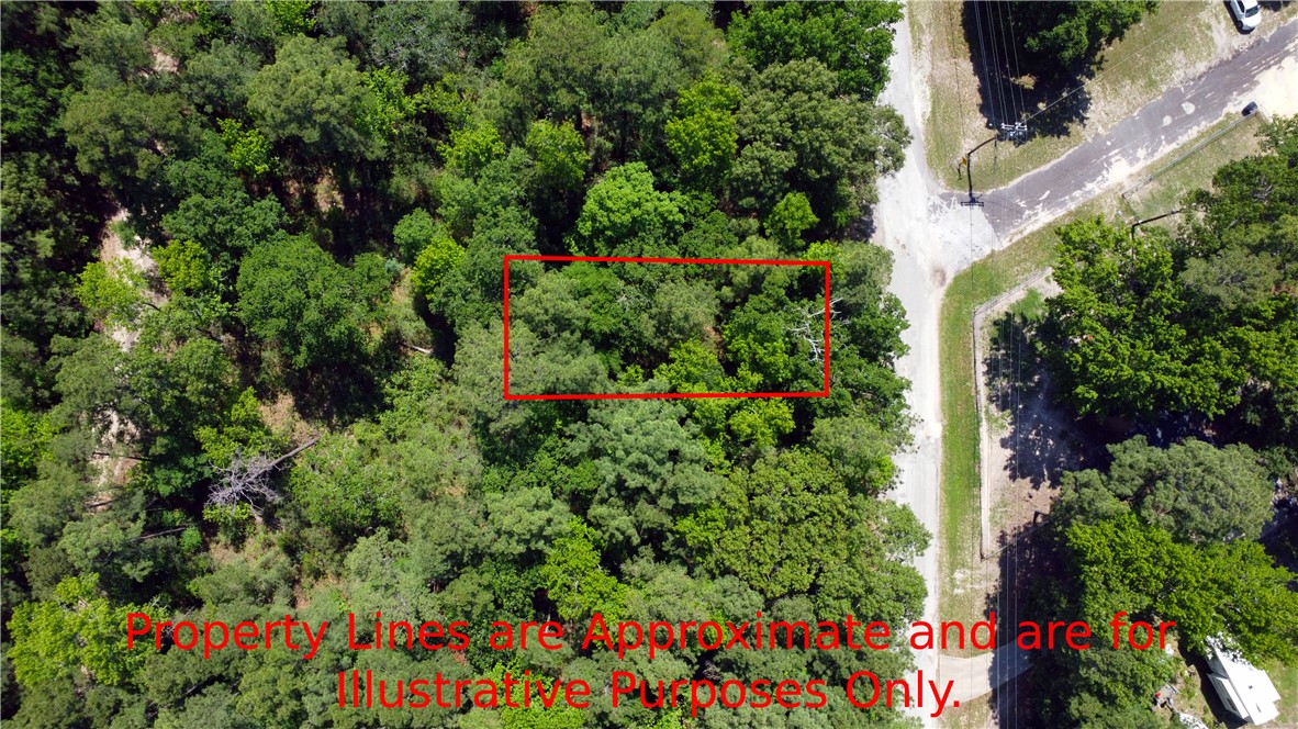 Tbd Port Boulevard Trinity, TX 75862 - Photo 3 of 7
