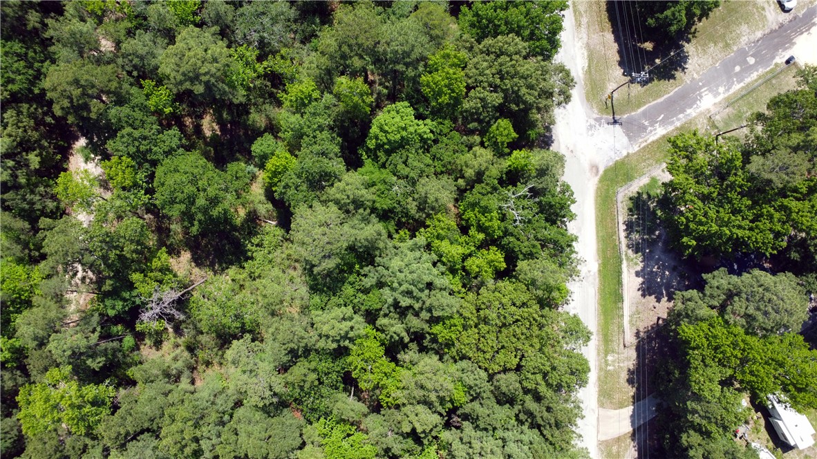 Tbd Port Boulevard Trinity, TX 75862 - Photo 4 of 7 an aerial view of a house with a tree
