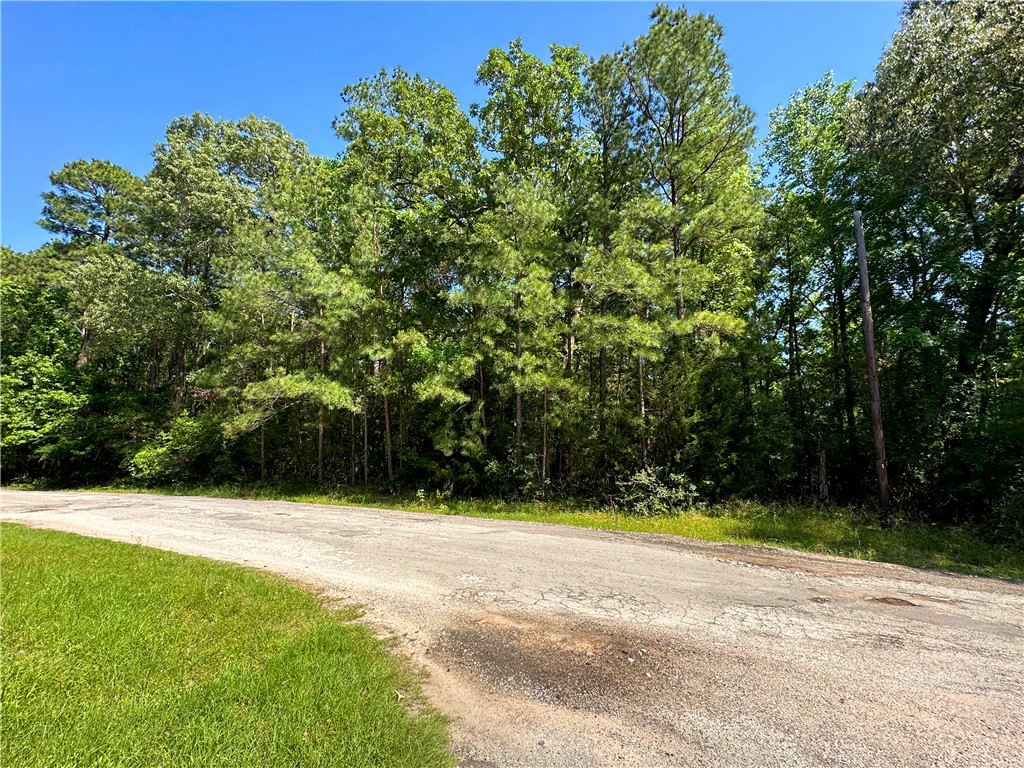 Tbd Port Boulevard Trinity, TX 75862 - Photo 7 of 7 a view of basketball court