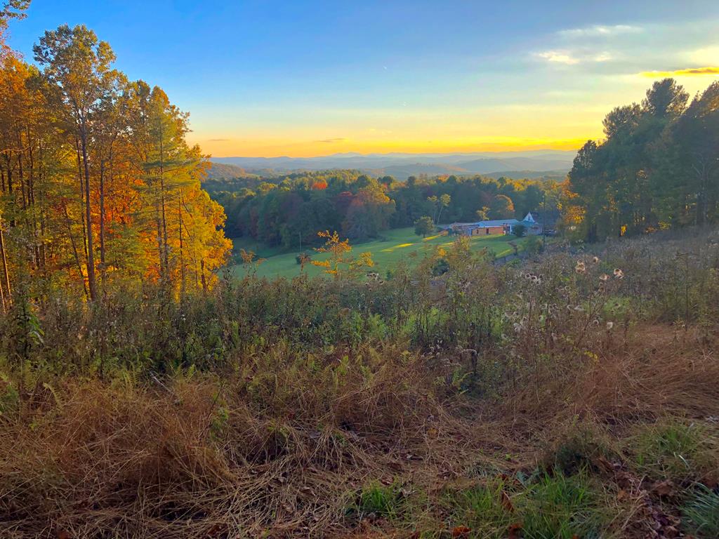 Tbd Mallory Road, Unit 1 2 Galax, VA 24333 - Photo 1 of 10 Gallery Image 1