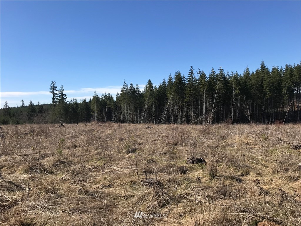 2 Remington Lane Chehalis, WA 98532 - Photo 1 of 4