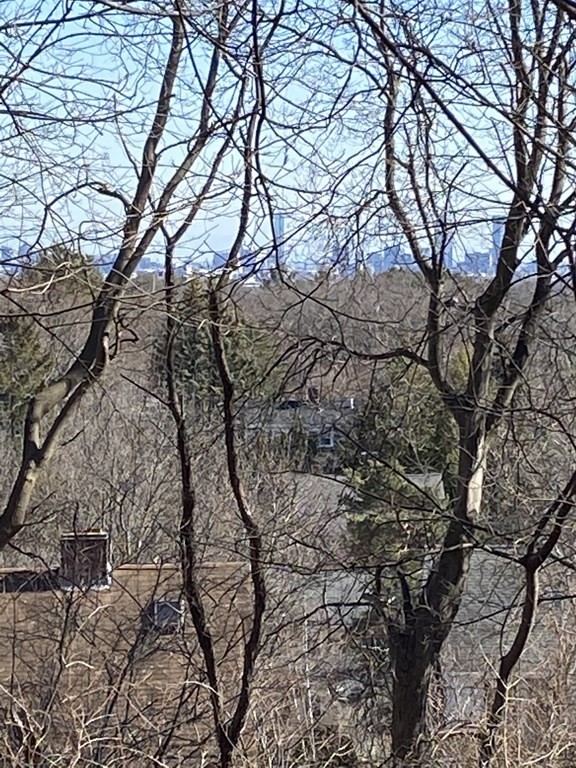 78 Coolidge Road Arlington, MA 02476 - Photo 5 of 6 Gallery Image 5