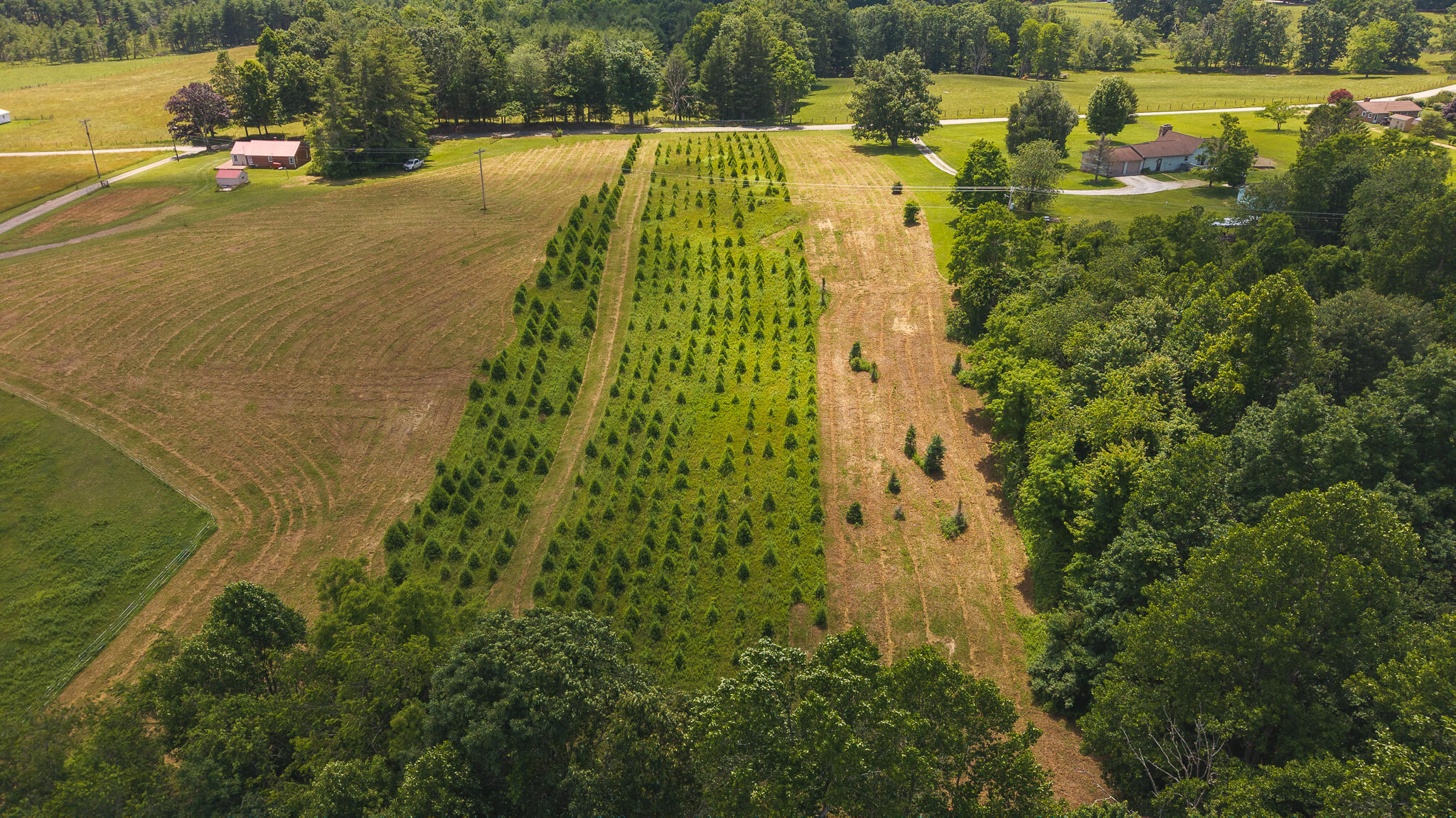 Tbd Alum Ridge Road Northwest Willis, VA 24380 - Photo 11 of 14 DJI_20250618142924_0462_D